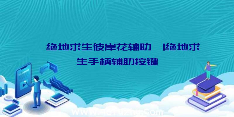 「绝地求生彼岸花辅助」|绝地求生手柄辅助按键
